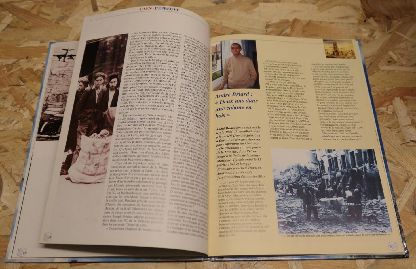 TEMOIGNAGES 6 JUIN 1944 / HISTOIRE RECIT WW2 DEBARQUEMENT MILITARIA / 1994