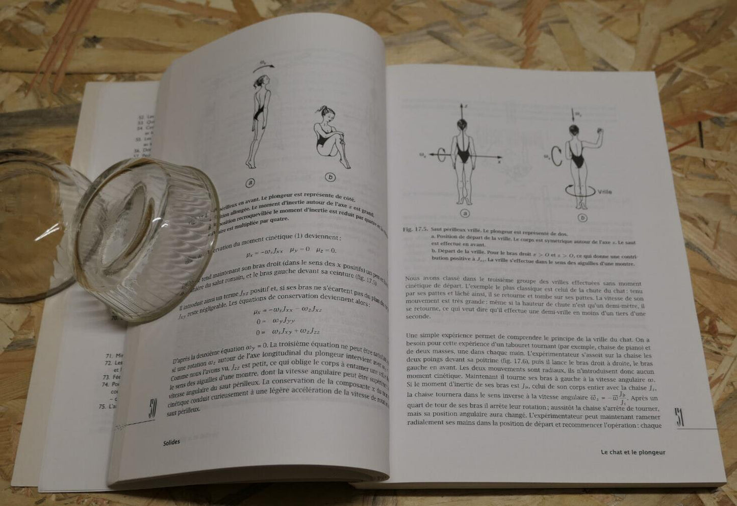LA PHYSIQUE DE TOUS LES JOURS / ITSVAN BERKES / SCHEMAS DESSINS / VUIBERT 1996