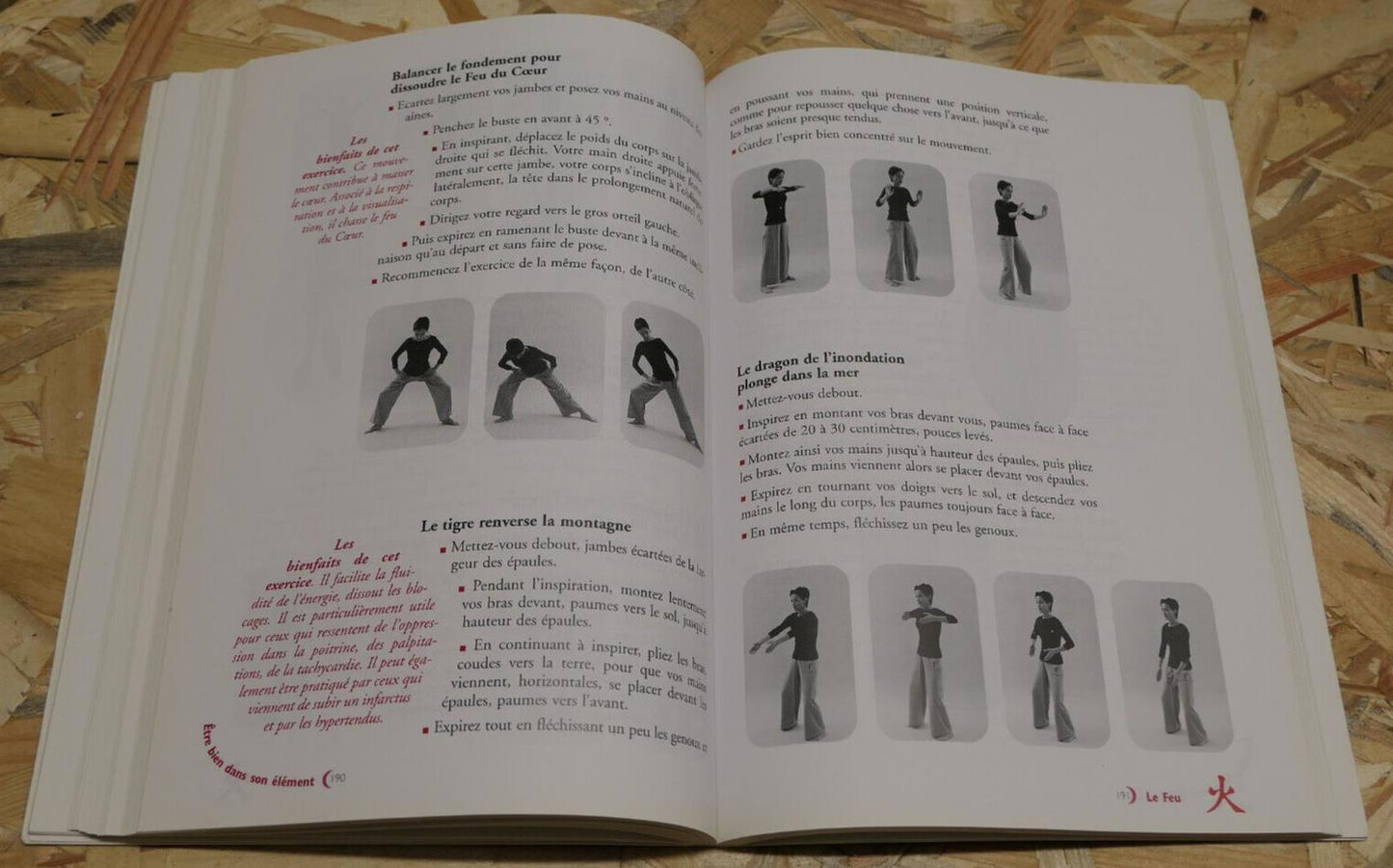 LE GUIDE DU BIEN-ETRE SELON LA MEDECINE CHINOISE / SANTE ENERGIE PSYCHOLOGIE