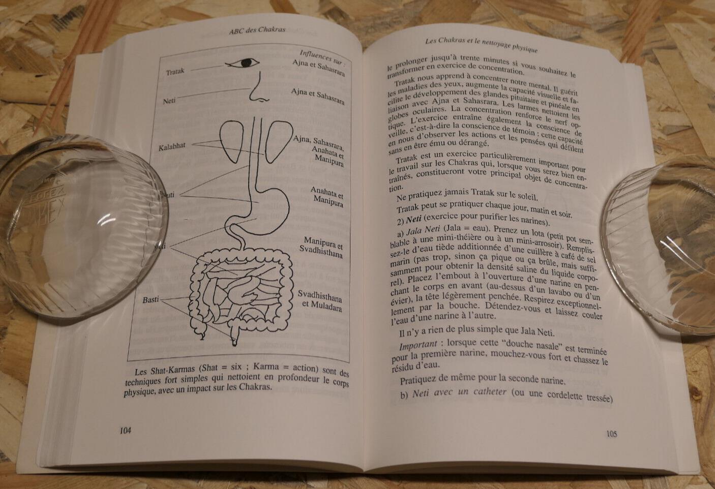 ABC DES CHAKRAS / DOMINIQUE LECROQ / SPIRITUALITE CONSCIENCE YOGA / 1995