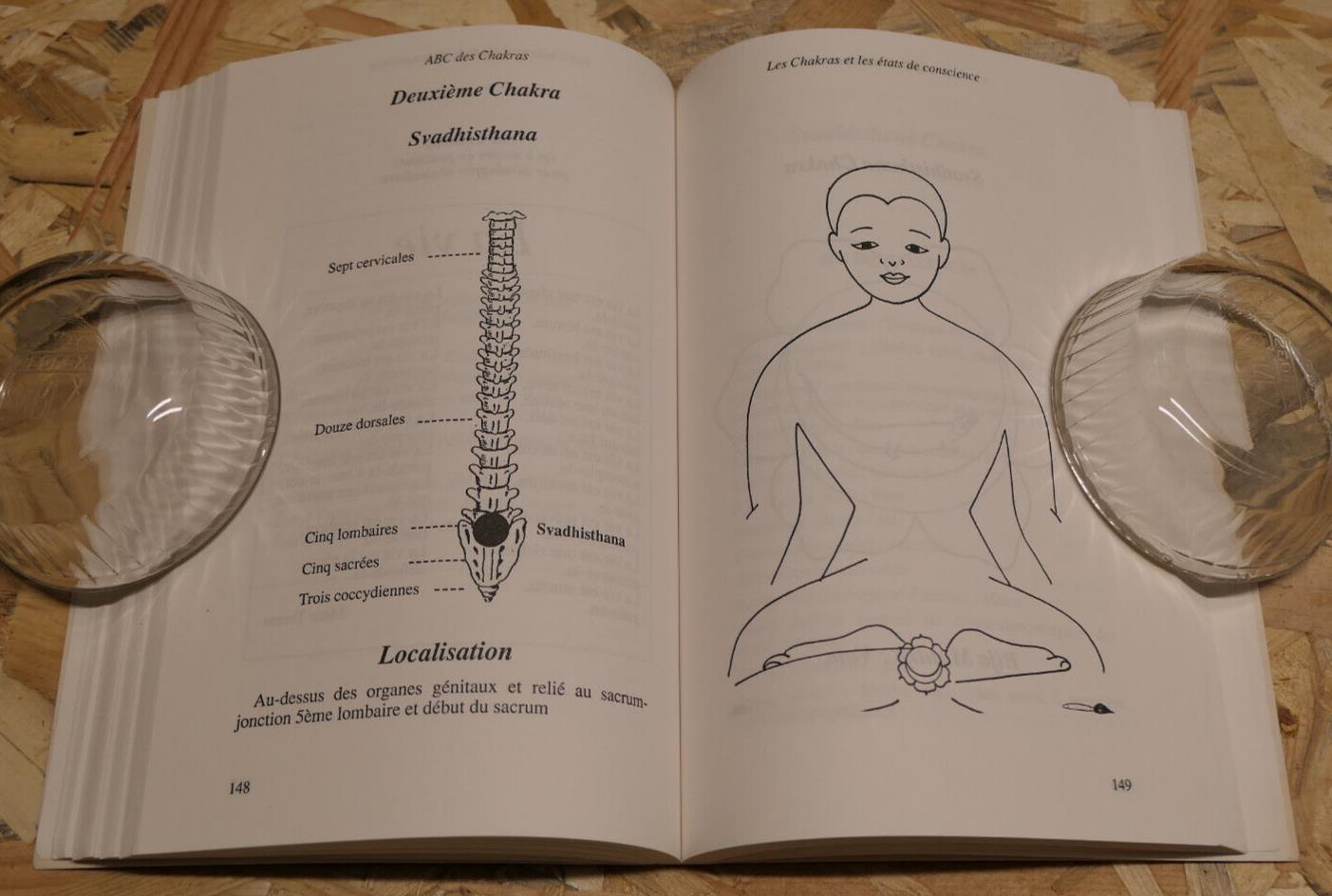 ABC DES CHAKRAS / DOMINIQUE LECROQ / SPIRITUALITE CONSCIENCE YOGA / 1995