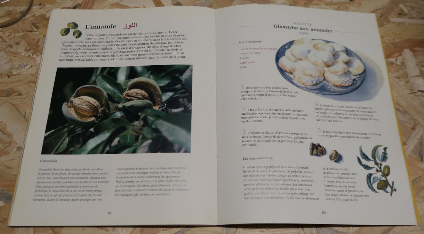 LE PETIT ZIRYAB RECTTES GOURMANDES DU MONDE ARABE GASTRONOMIE CUISINE AFRIQUE
