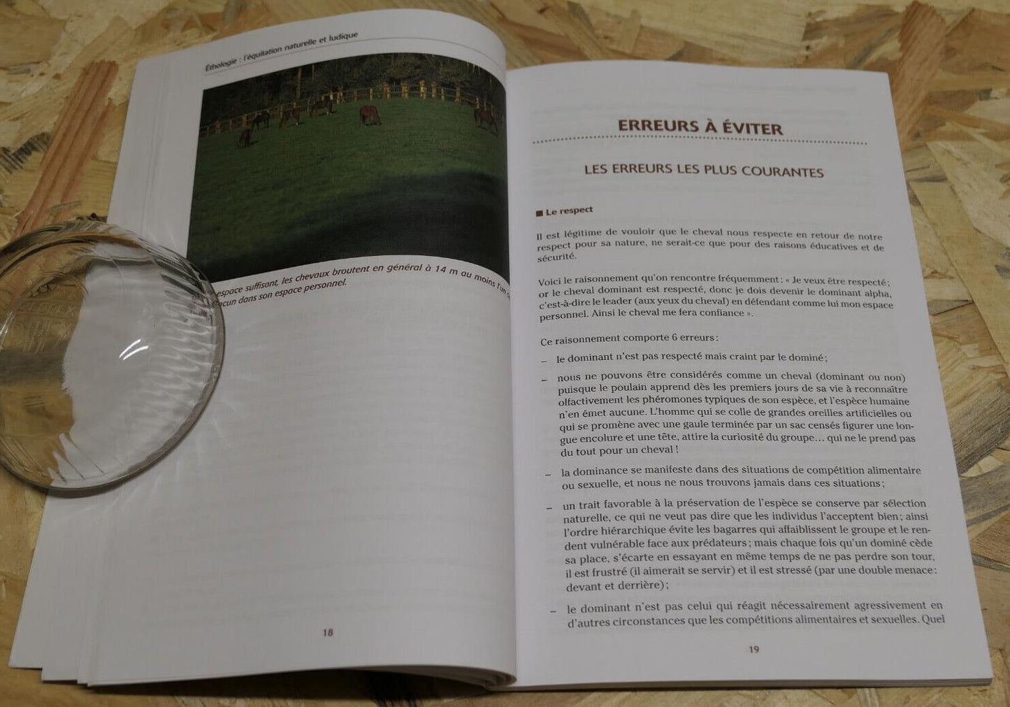 ETHOLOGIE L'EQUITATION NATURELLE ET LUDIQUE / DANIELE GOSSIN / VIGOT 2003