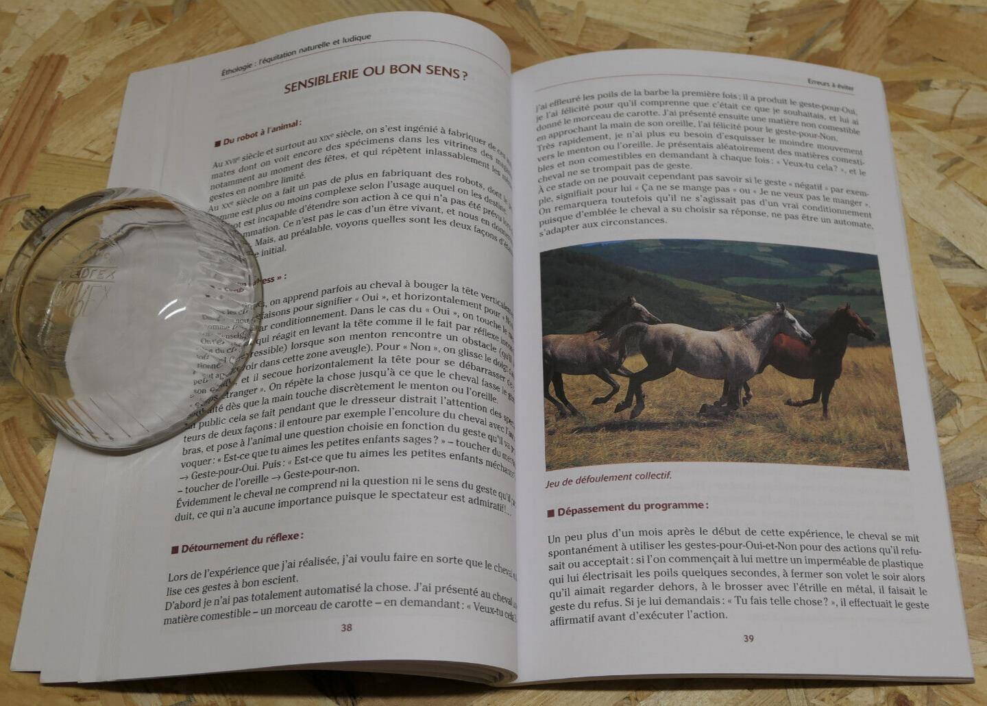 ETHOLOGIE L'EQUITATION NATURELLE ET LUDIQUE / DANIELE GOSSIN / VIGOT 2003