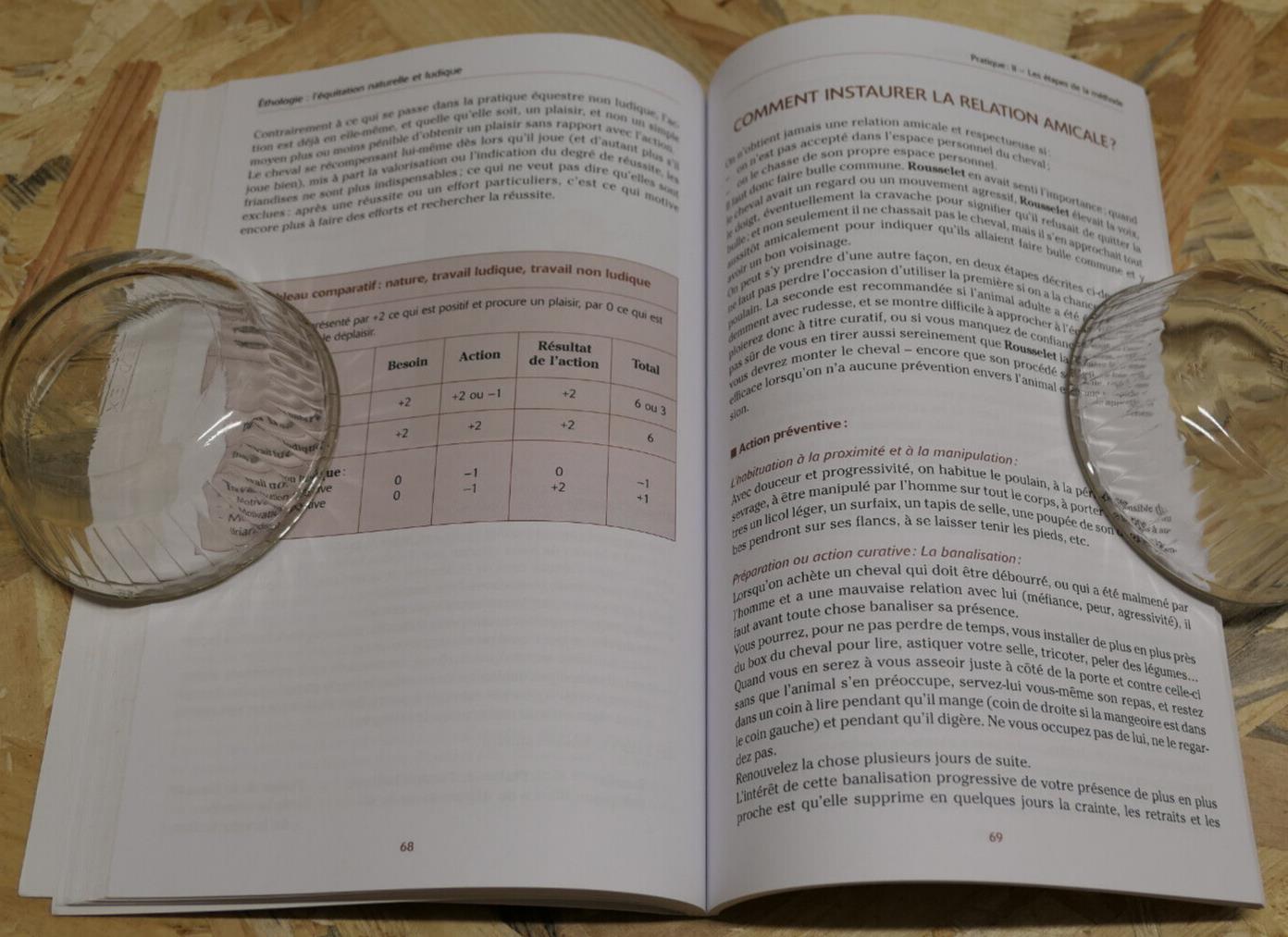 ETHOLOGIE L'EQUITATION NATURELLE ET LUDIQUE / DANIELE GOSSIN / VIGOT 2003