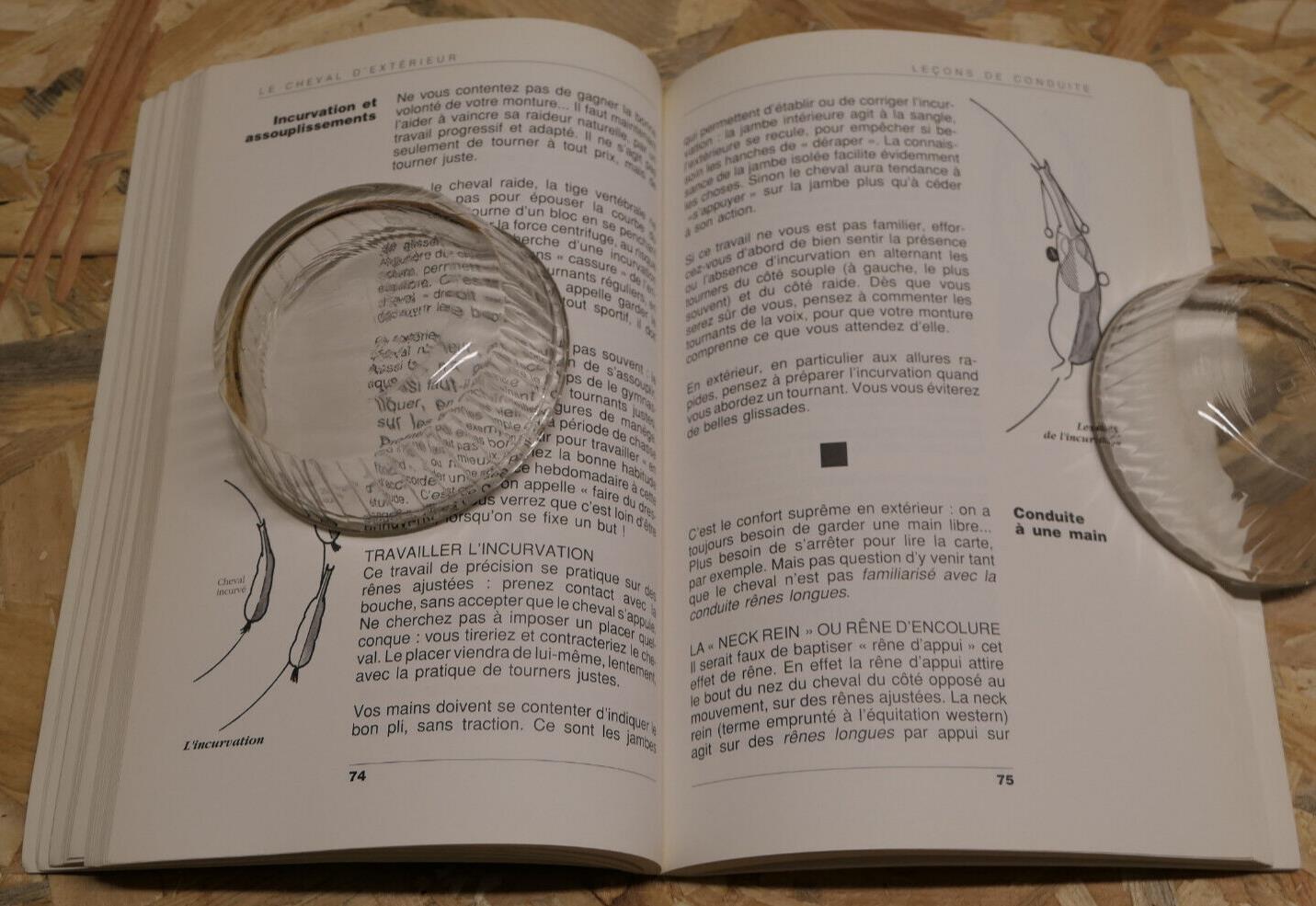 LE CHEVAL D'EXTERIEUR L'EDUQUER LE DRESSER / ETHOLOGIE EQUITATION / MALOINE 1993