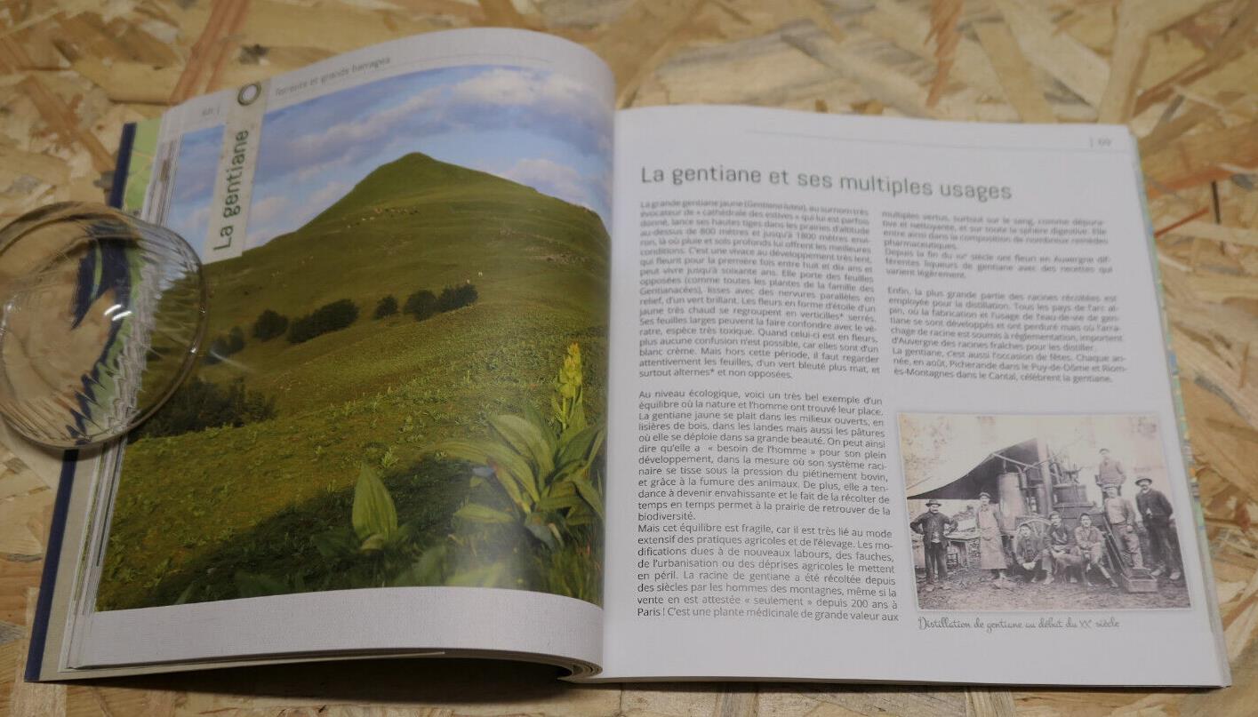 AU FIL DE LA DORDOGNE MAGALI AMIR / VOYAGE PATRIMOINE GASTRONOMIE NATURE PHOTOS