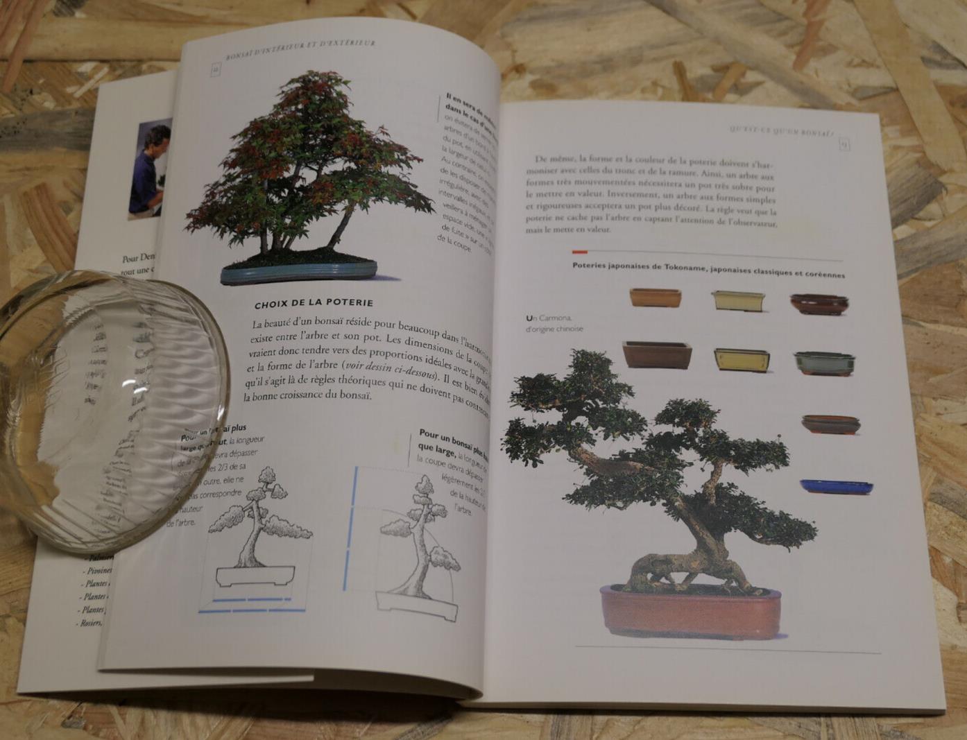 BONSAI D'INTERIEUR & D'EXTERIEUR DENIS SEBBAN ENTRETIEN GUIDE TECHNIQUE PRATIQUE