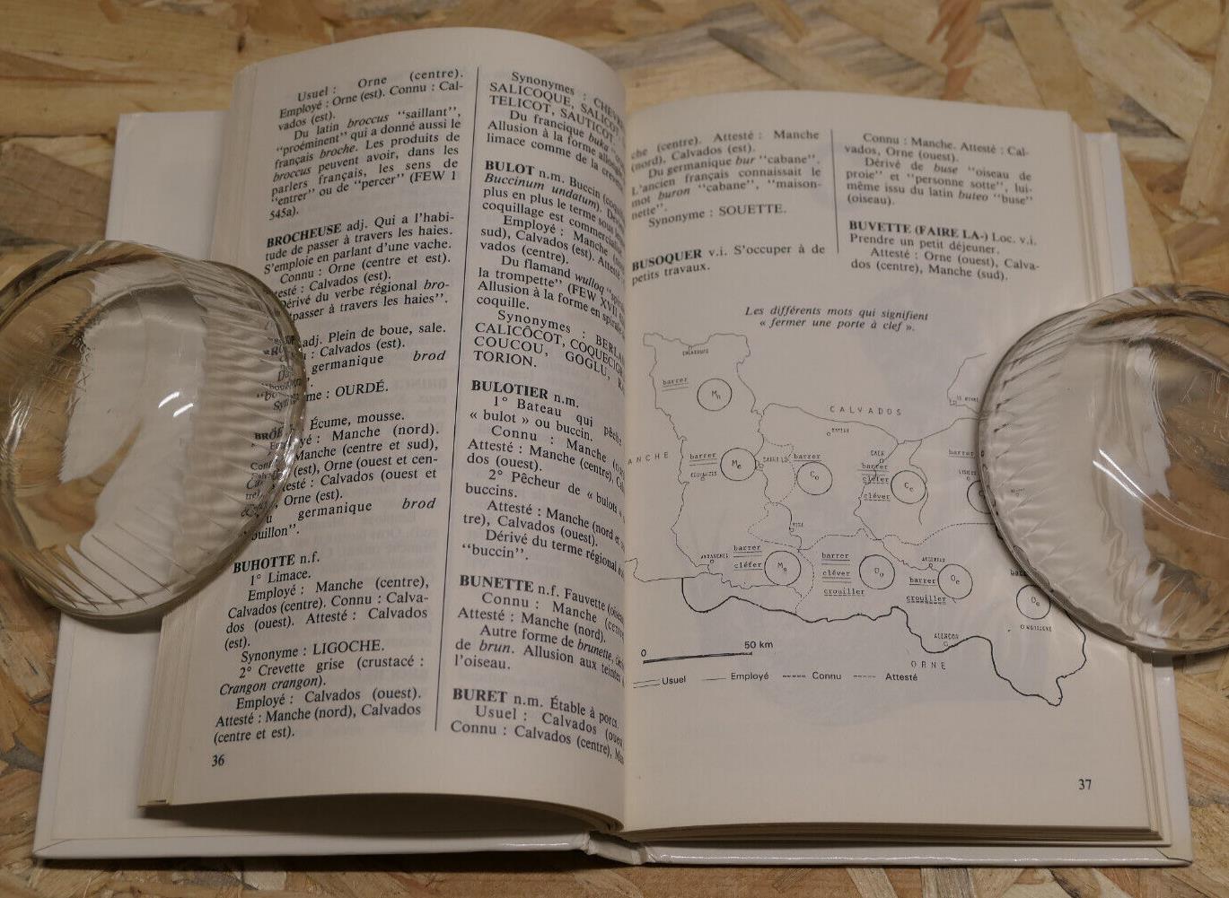 DICTIONNAIRE DU FRANCAIS REGIONAL DE BASSE-NORMANDIE / RENE LEPELLEY / 1989