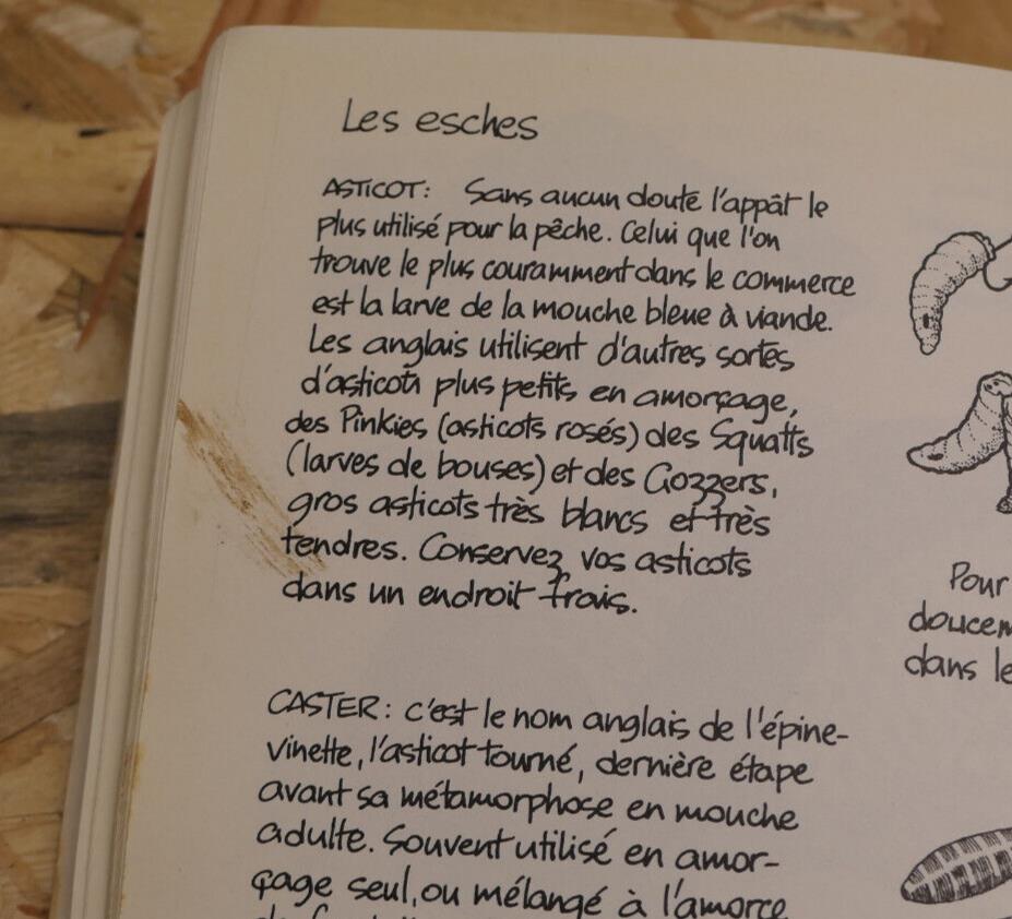 PECHE A L'ANGLAISE / TONY WHIELDON / GUIDE TECHNIQUES DESSINS / ANTHESE 1984