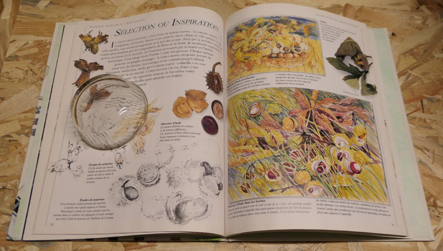 NATURES MORTES A L'AQUARELLE / GUIDE PHOTOS ART PEINTURE / DESSAIN ET TOLRA 1995