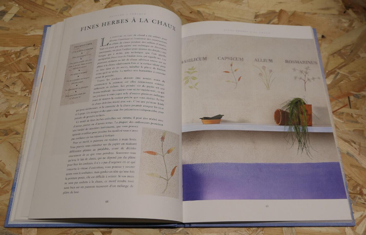 PEINDRE A FRESQUE POUR LA MAISON & LE JARDIN / GUIDE PHOTOS ART PEINTURE / LTA