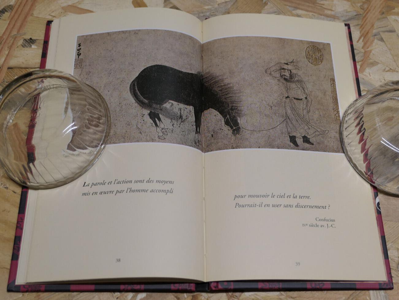 PAROLES DU TAO / MARC DE SMEDT / ALBIN MICHEL 1999