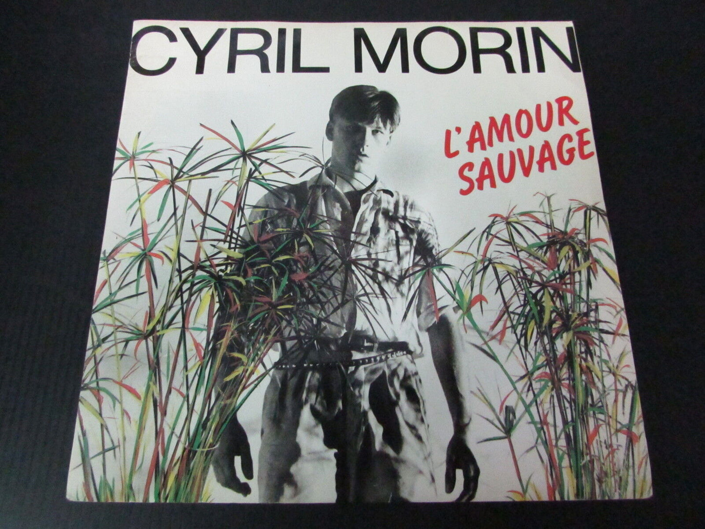 CYRIL MORIN SP 45T 7" L'AMOUR SAUVAGE 1987
