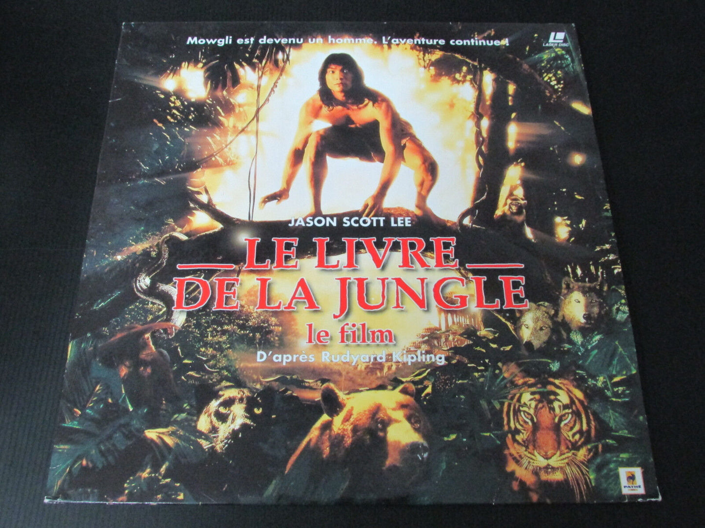LOT LASERDISC DUTRONC FANTASIA MIDNIGHT EXPRESS LE LIVRE DE LA JUNGLE