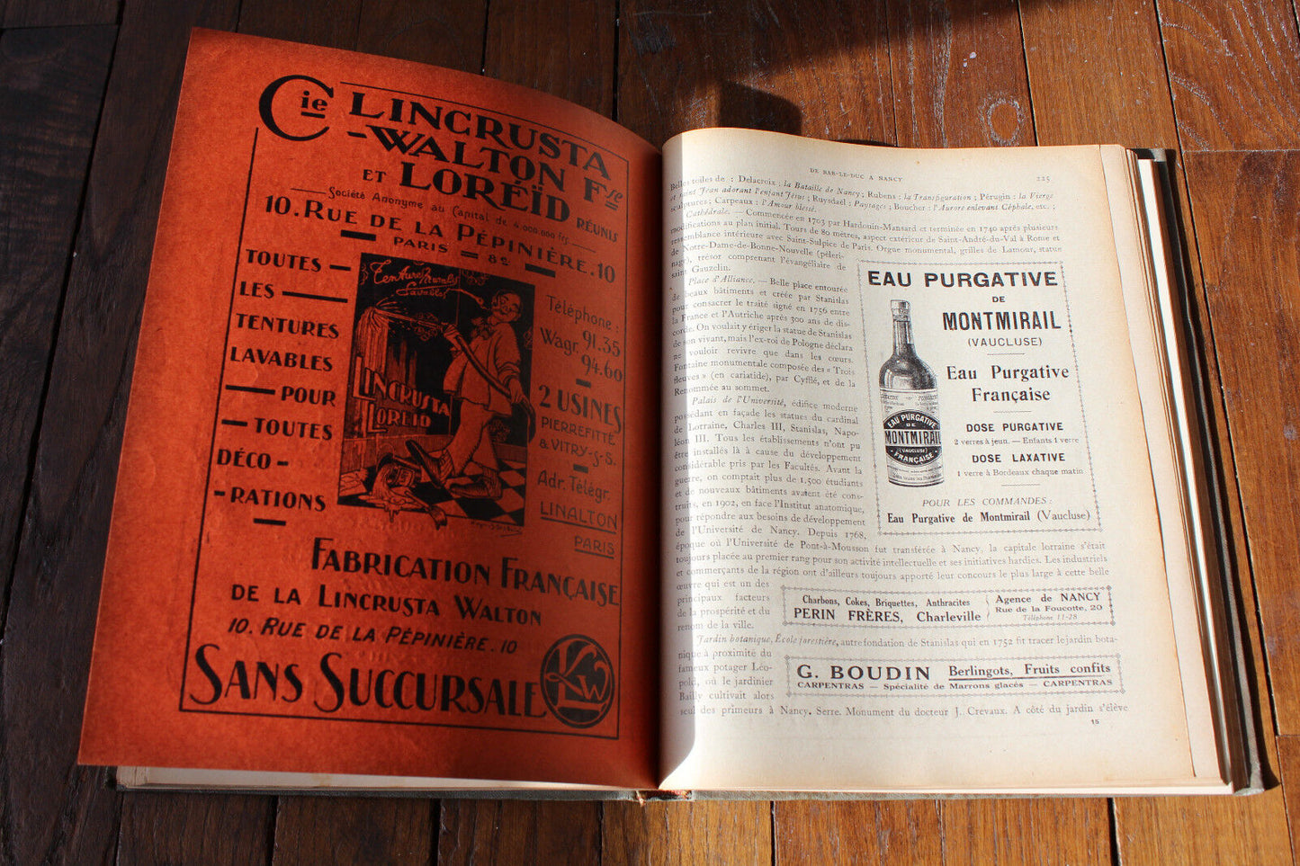 Guide Album Illustré Chemins de Fer de l'Est 17e Année 1923-1924