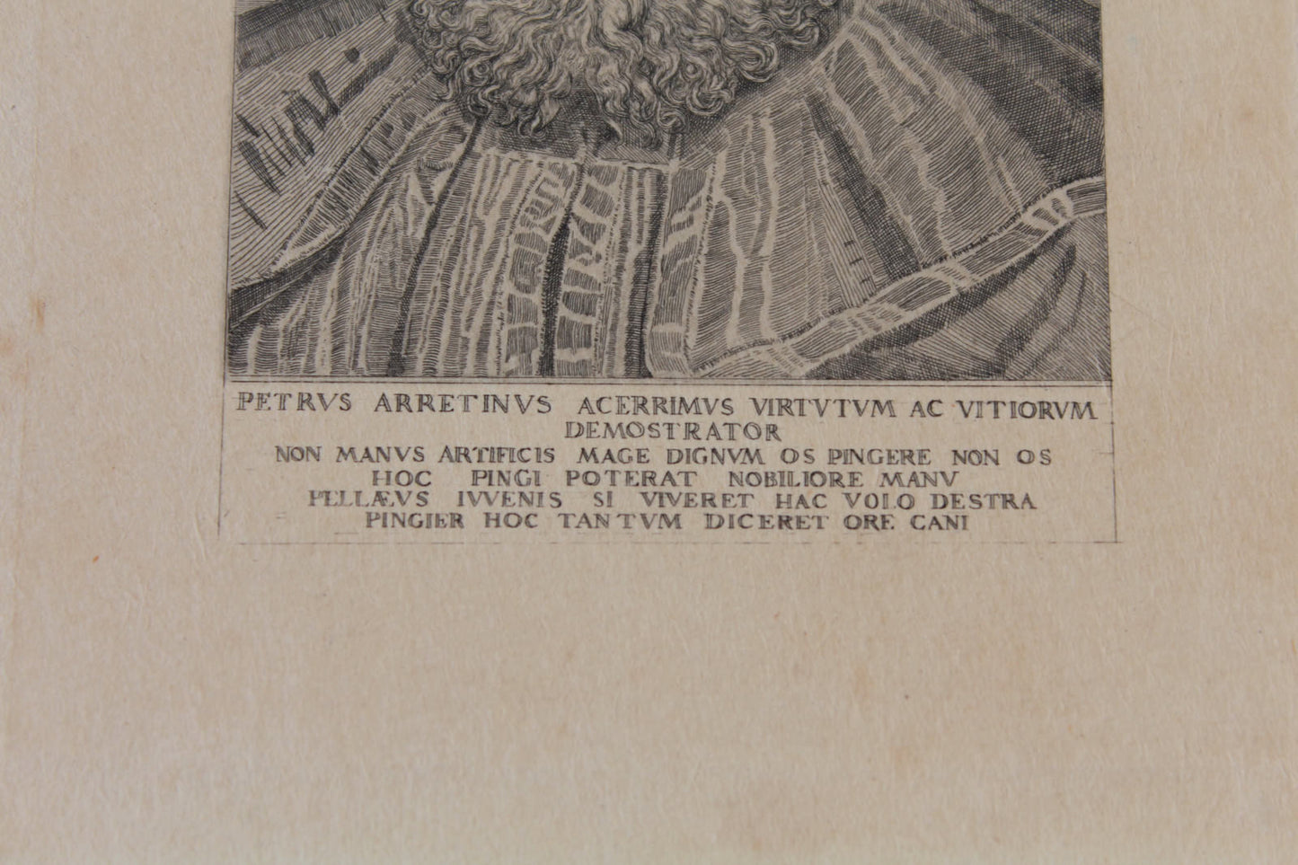 Gravure PORTRAIT Petrus Arretinus Acerrimus Virtutum Ac Vitiorum Demostrator