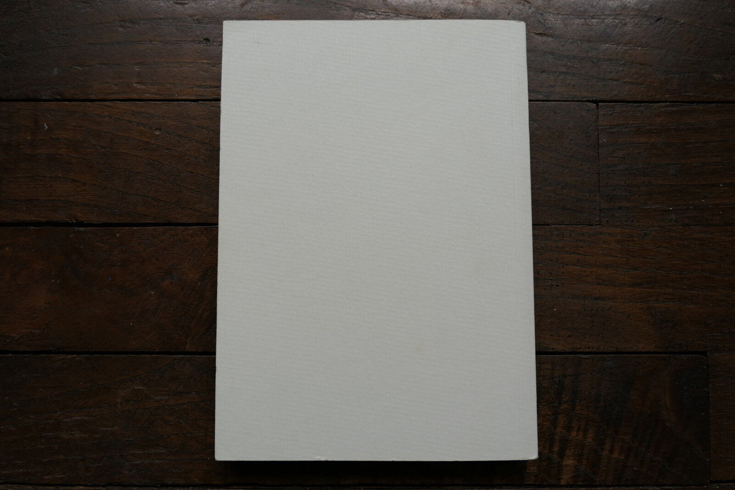 LE POUVOIR TELECULTE REESE P. DUBLIN SOLECOM 1997 SPIRITUALITE ESOTERISME PENSEE