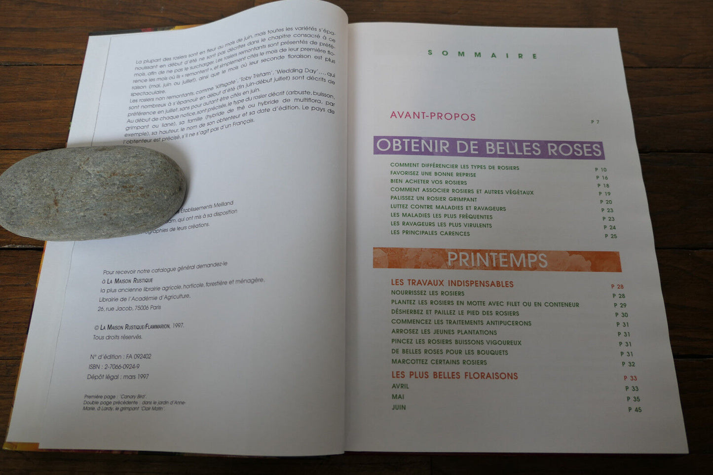 DES ROSES DANS VOTRE JARDIN TOUTE L'ANNEE JEROME GOUTIER MANUEL GUIDE JARDINAGE