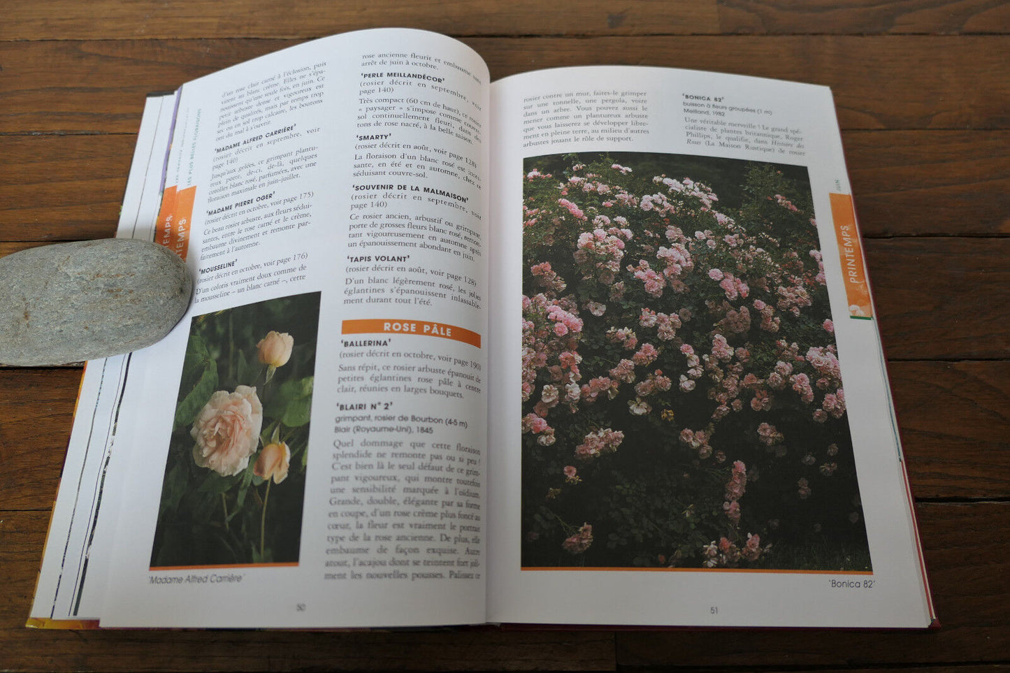 DES ROSES DANS VOTRE JARDIN TOUTE L'ANNEE JEROME GOUTIER MANUEL GUIDE JARDINAGE