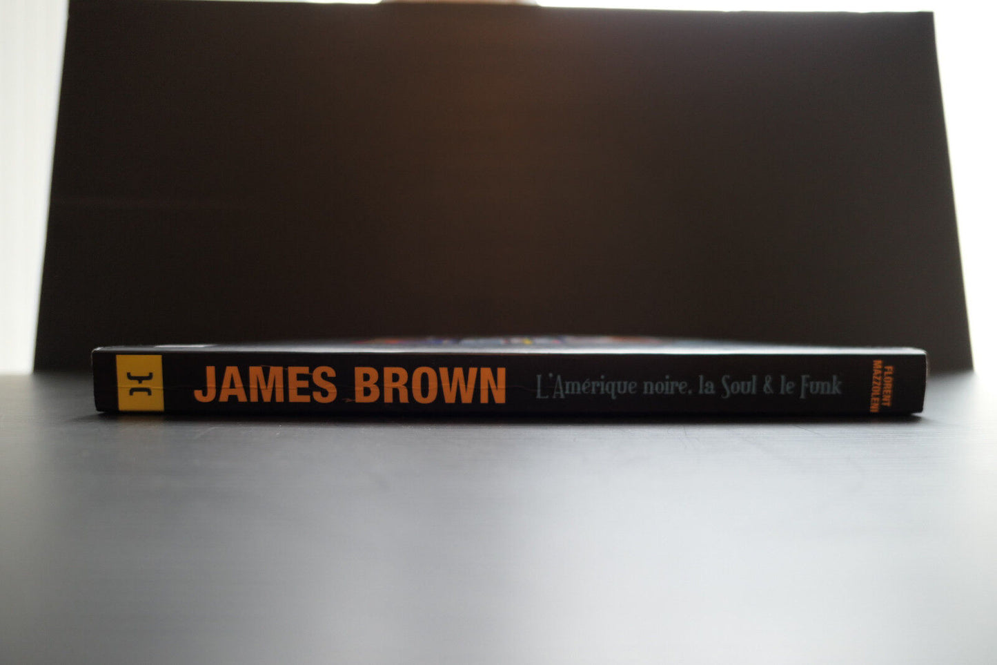 JAMES BROWN FLORENT MAZZOLENI HORS COLLECTION 2005 LIVRE MUSIQUE SOUL FUNK