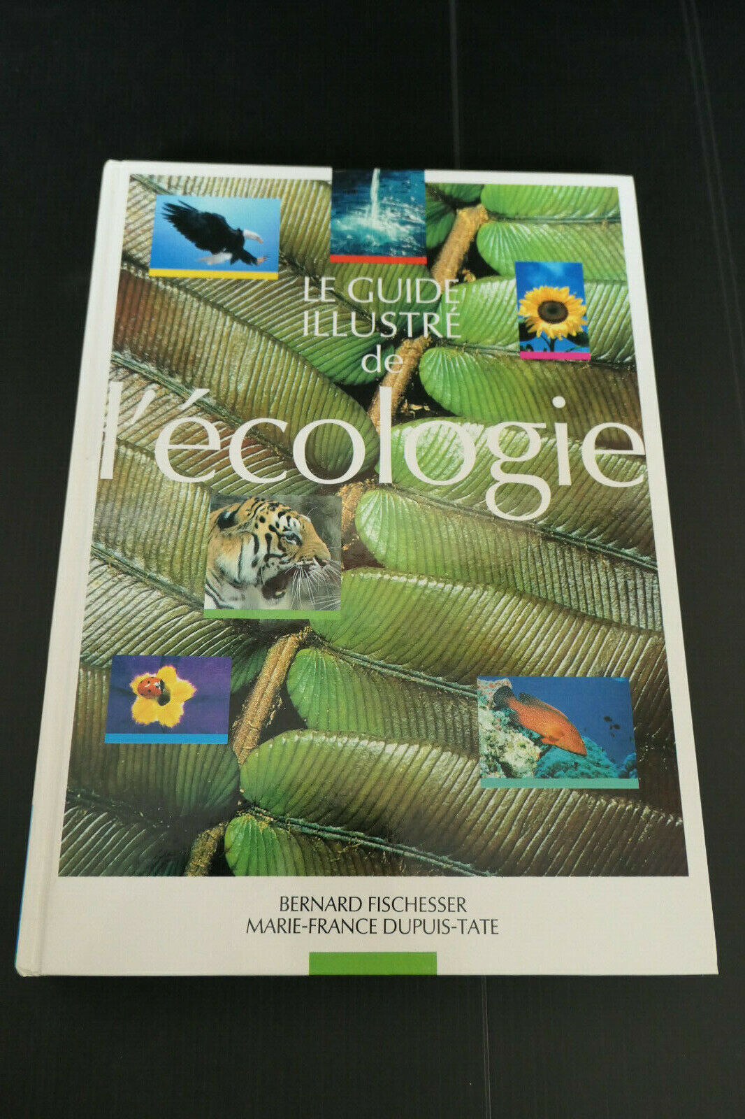 LE GUIDE ILLUSTRE DE L'ECOLOGIE / FISCHESSER & DUPUIS-TATE / 1998