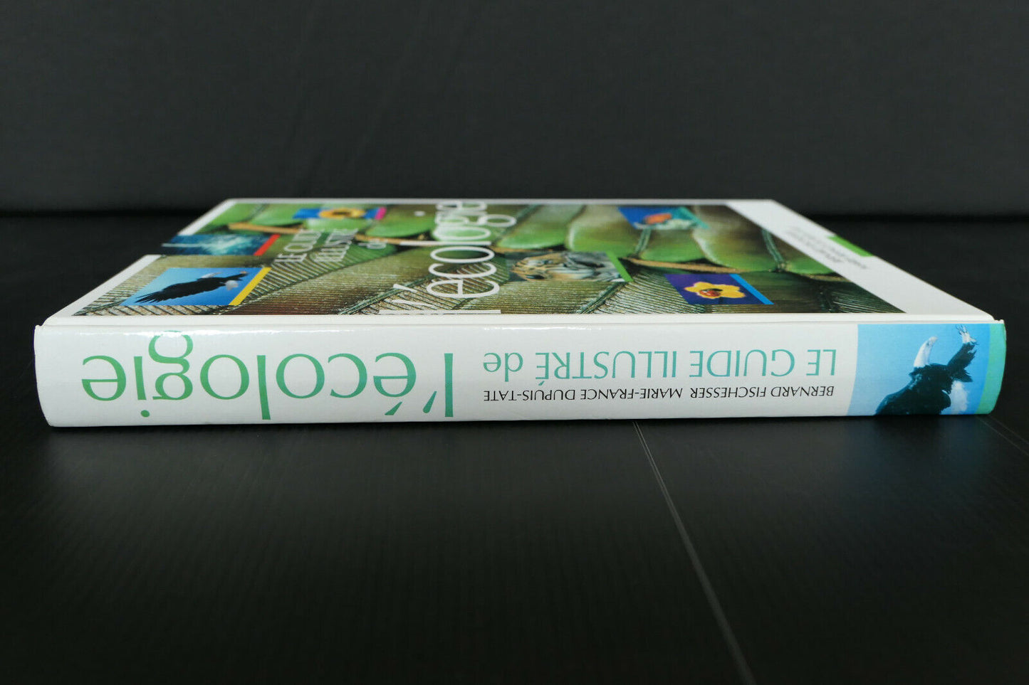 LE GUIDE ILLUSTRE DE L'ECOLOGIE / FISCHESSER & DUPUIS-TATE / 1998
