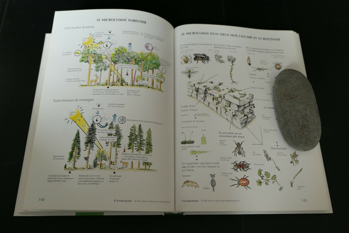 LE GUIDE ILLUSTRE DE L'ECOLOGIE / FISCHESSER & DUPUIS-TATE / 1998