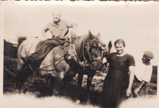 VINTAGE SNAPSHOT PHOTO ANONYME AGRICULTURE PAYSANS TRAVAIL CHEVAUX HORSES