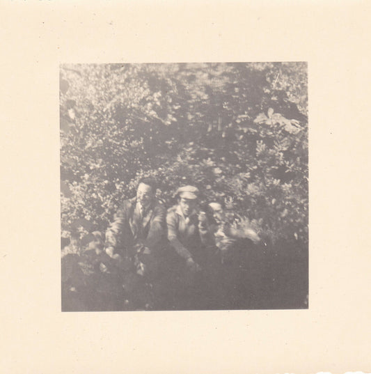 VINTAGE SNAPSHOT PHOTO GROUPE AMIS NATURE ARBRES FORET CURIOSITE