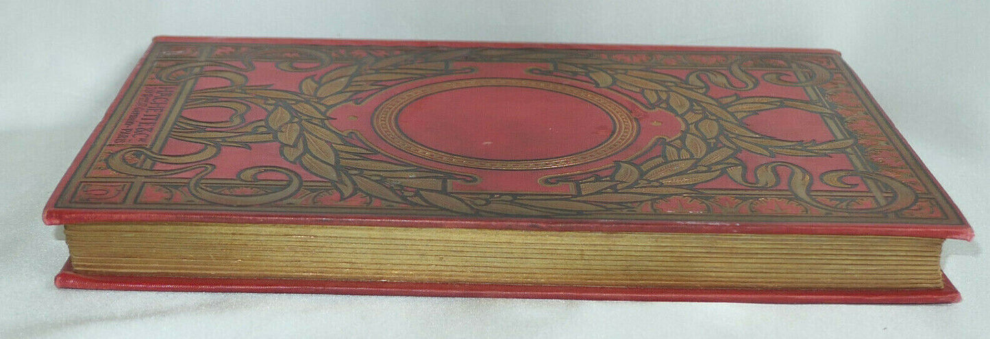 LE MOUSSE DES TERRE-NEUVAS / D'AGON DE LA CONTRIE / HACHETTE 1912