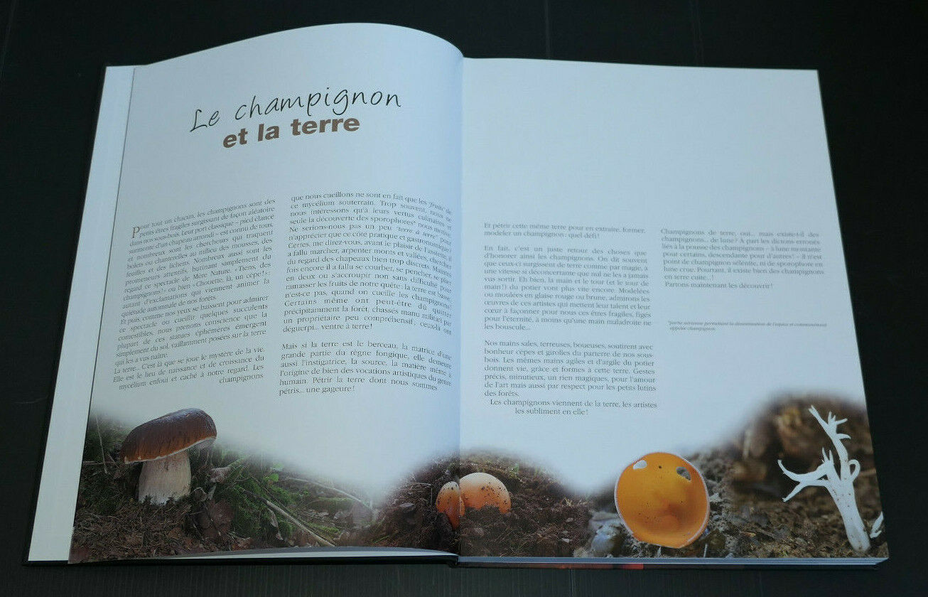CHAMPIGNONS L'ART ET LA MATIERE / BENOIT PEYRE / 2010