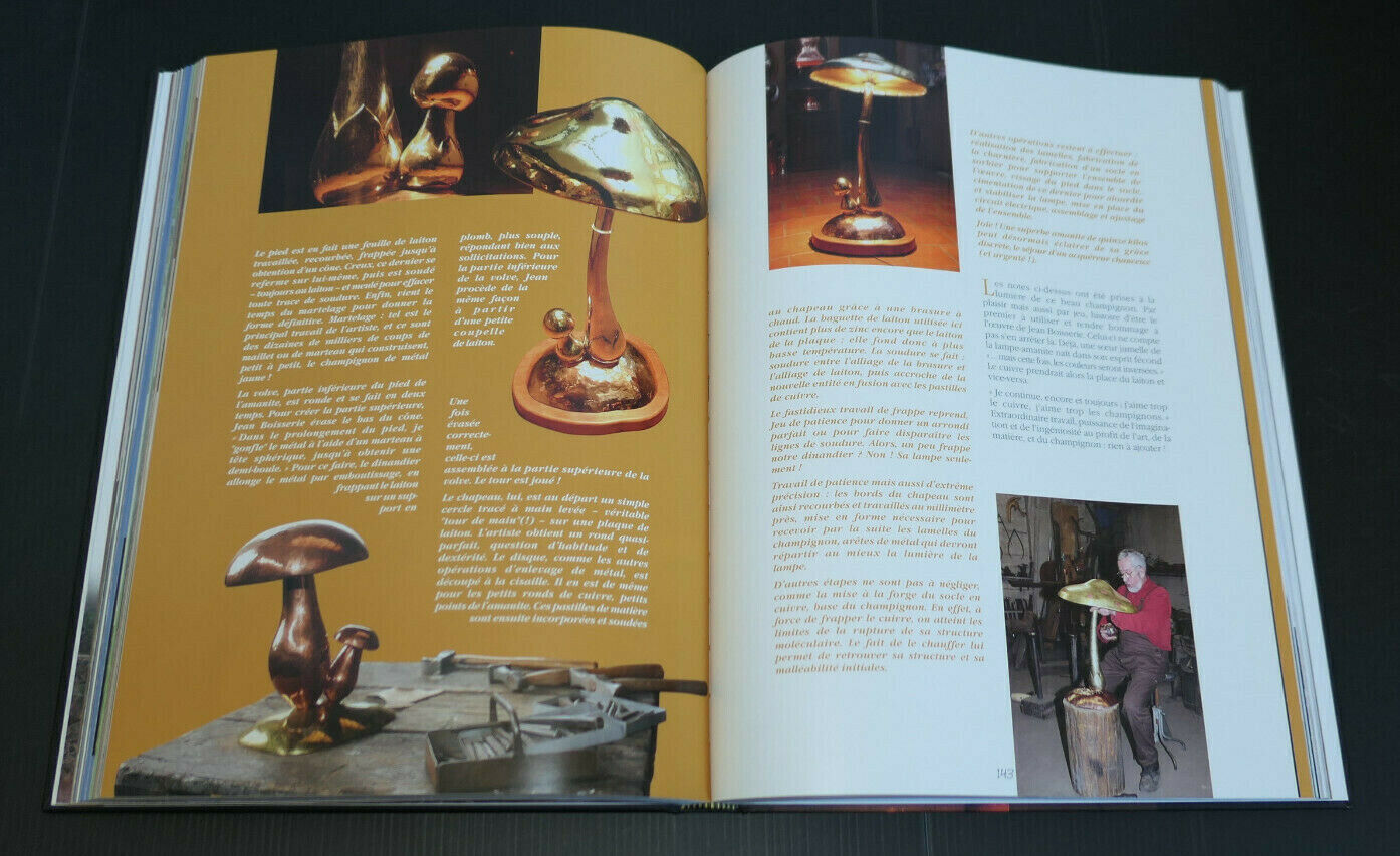 CHAMPIGNONS L'ART ET LA MATIERE / BENOIT PEYRE / 2010