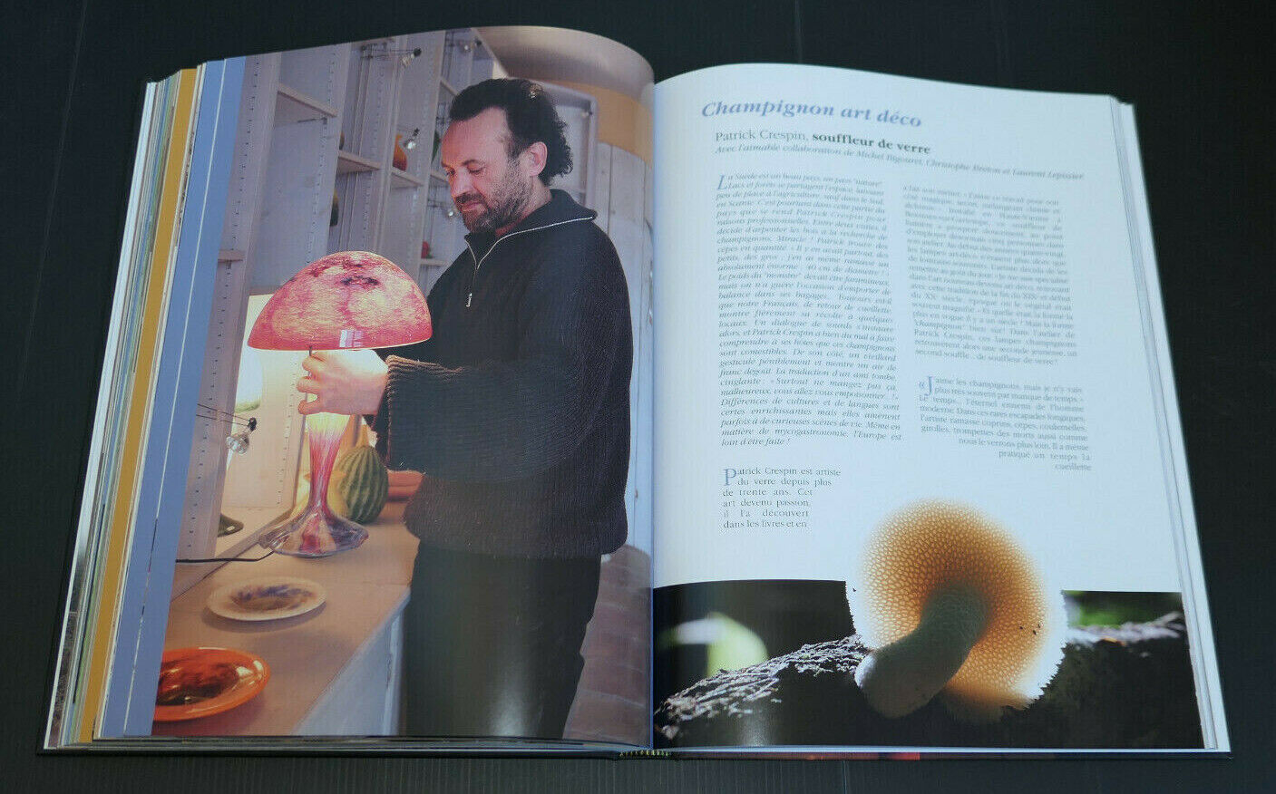 CHAMPIGNONS L'ART ET LA MATIERE / BENOIT PEYRE / 2010