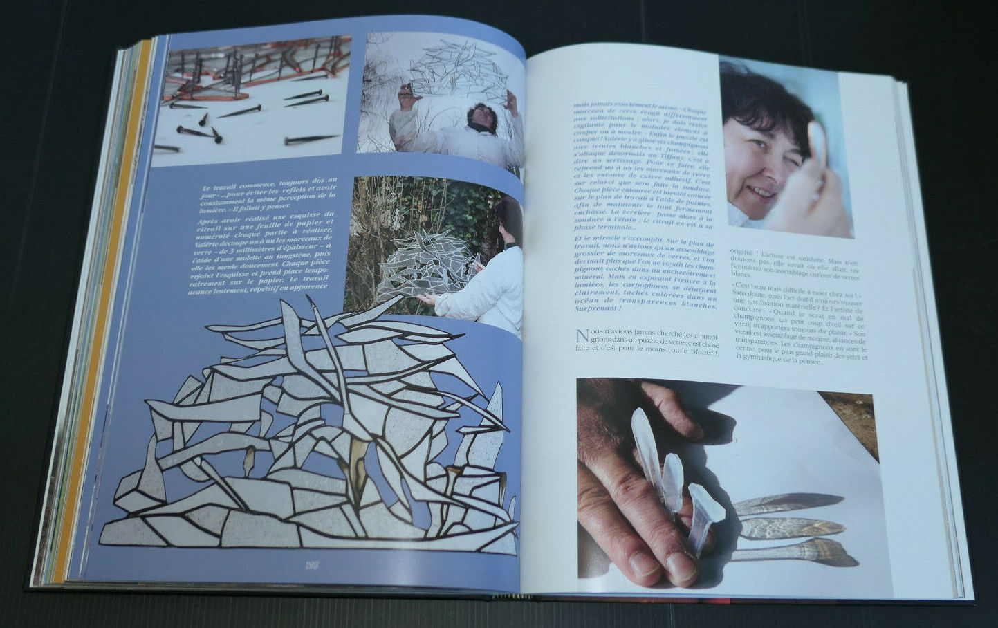 CHAMPIGNONS L'ART ET LA MATIERE / BENOIT PEYRE / 2010
