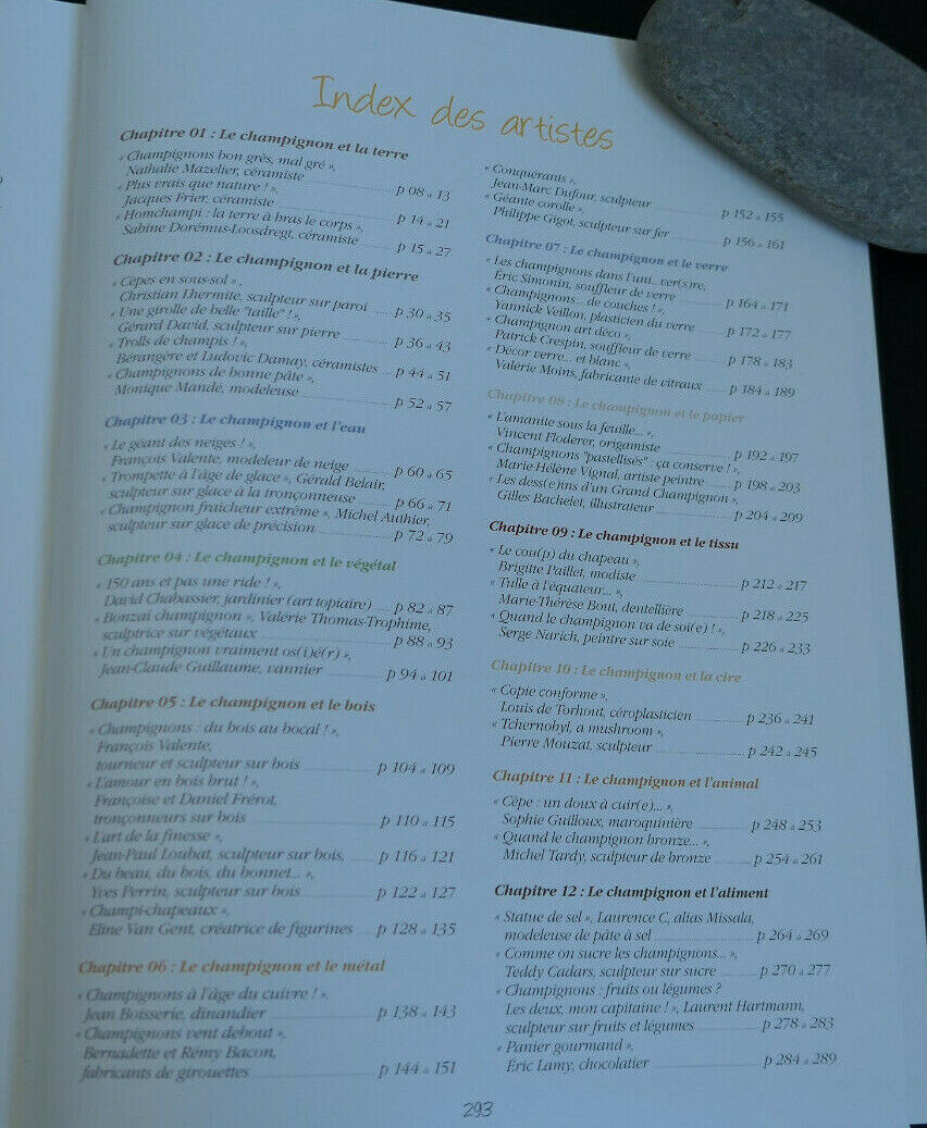 CHAMPIGNONS L'ART ET LA MATIERE / BENOIT PEYRE / 2010