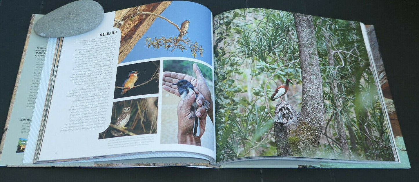 MAKAY A LA DECOUVERTE DU DERNIER EDEN / EDITIONS LA MARTINIERE 2011