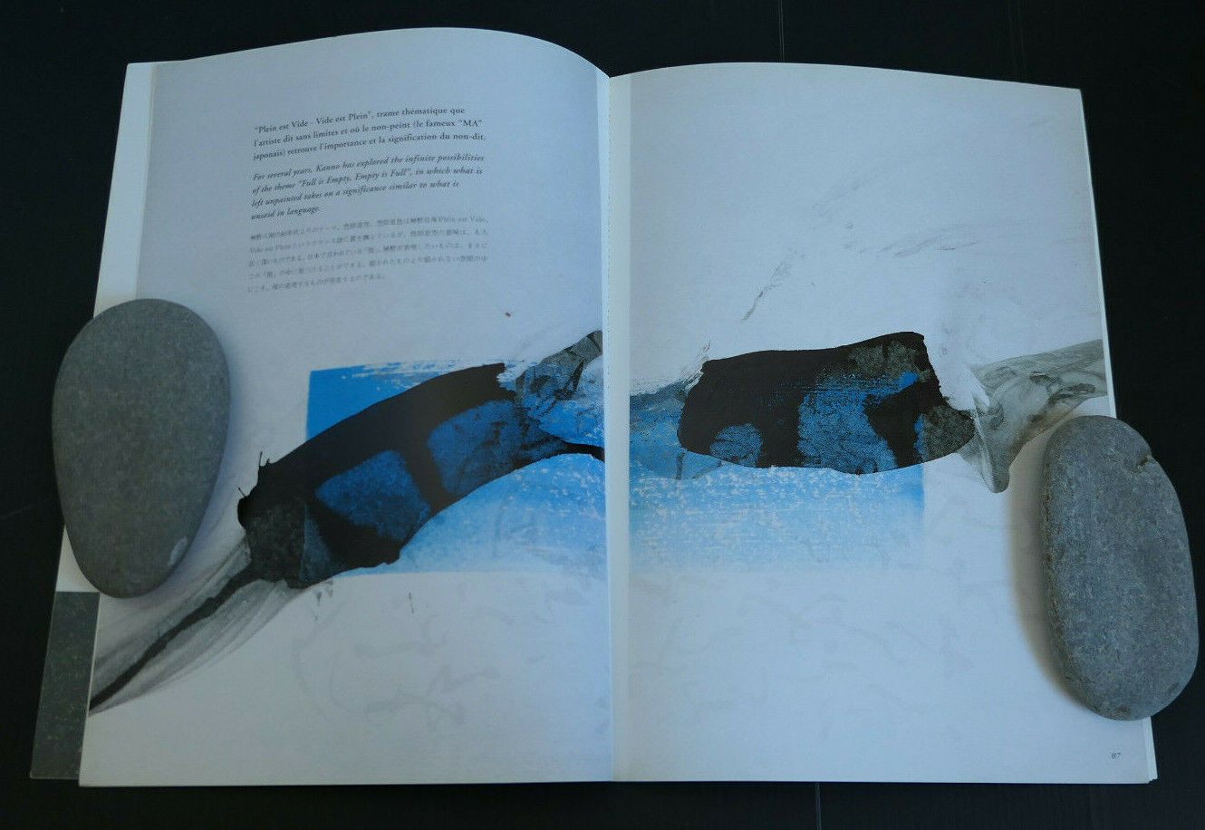 HACHIRO KANNO / COSMIC WORKS / PERMANESCENCE