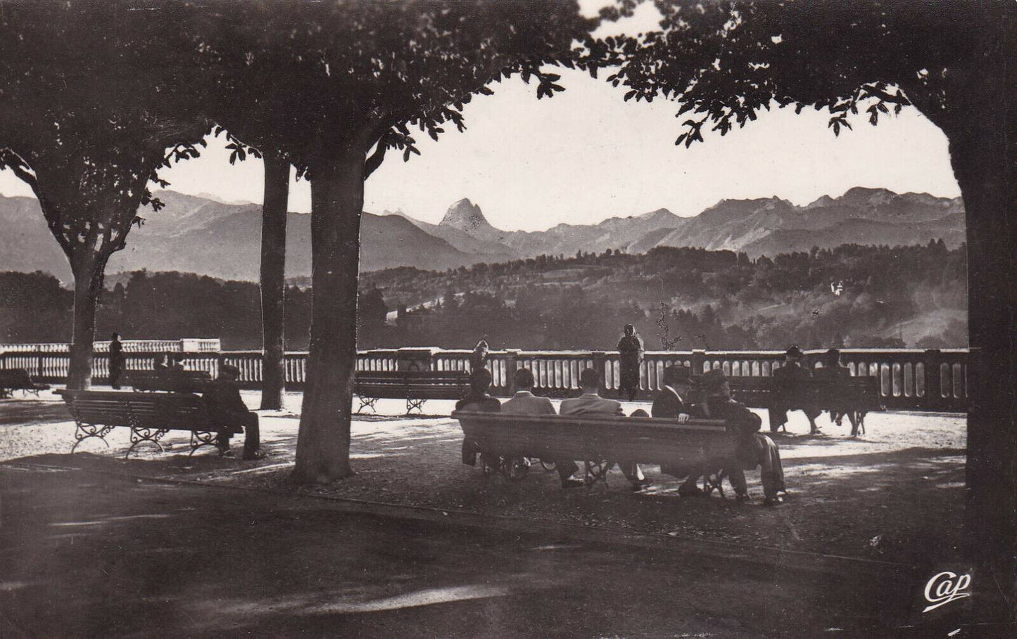 CARTE POSTALE CPSM NOIR & BLANC / PAU BOULEVARD DES PYRENEES (1955)