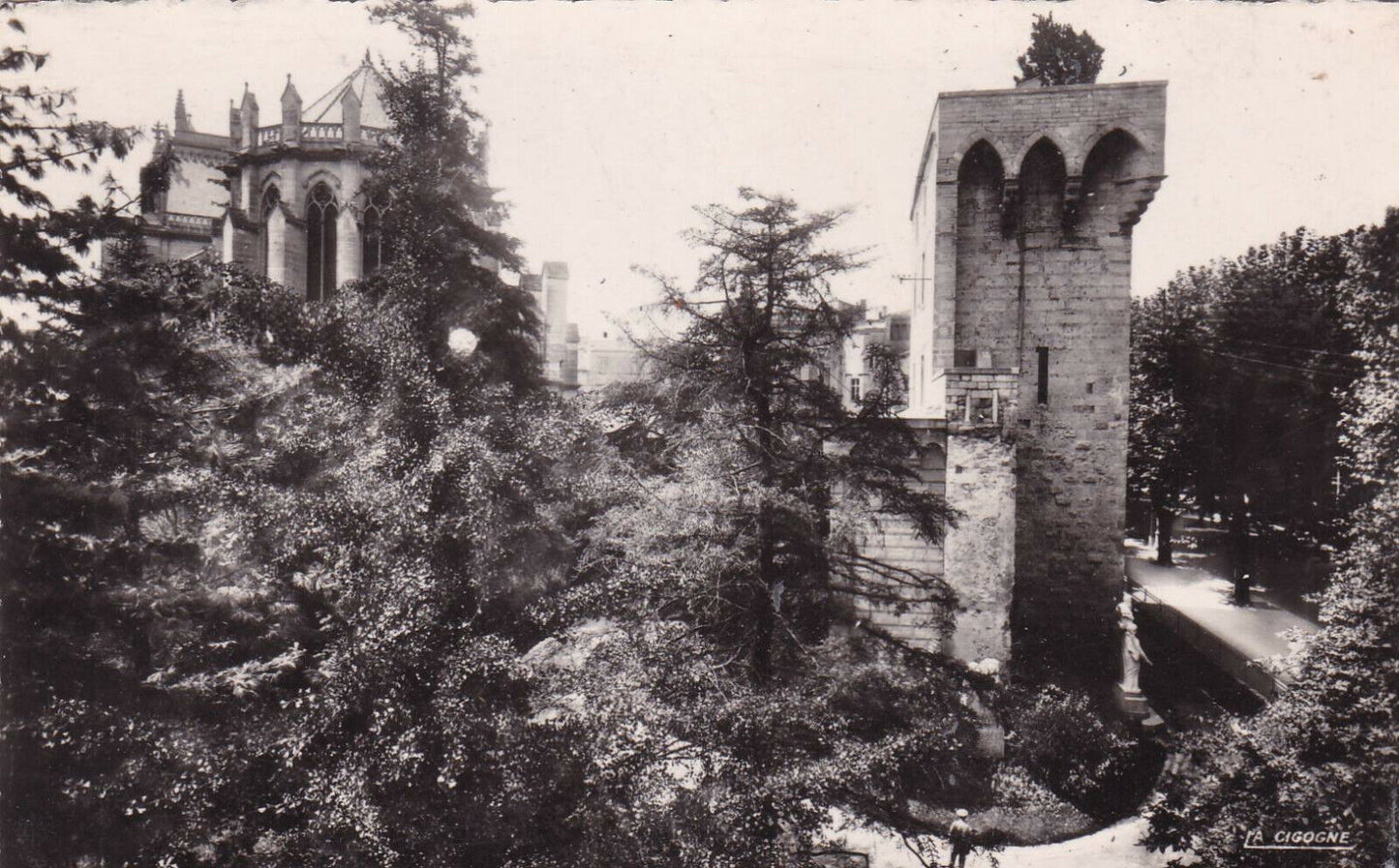 CARTE POSTALE CPSM NOIR ET BLANC / MONTPELLIER LA TOUR DU PIN ET LA CATHEDRALE
