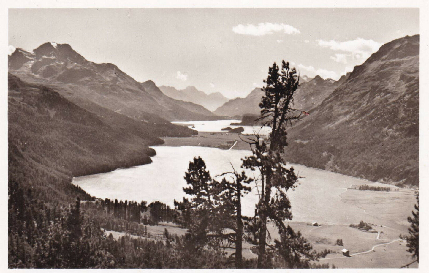CPSM BLACK AND WHITE POSTCARD / SWITZERLAND IM ENGADIN SILVAPLANER UND SILSERSEE