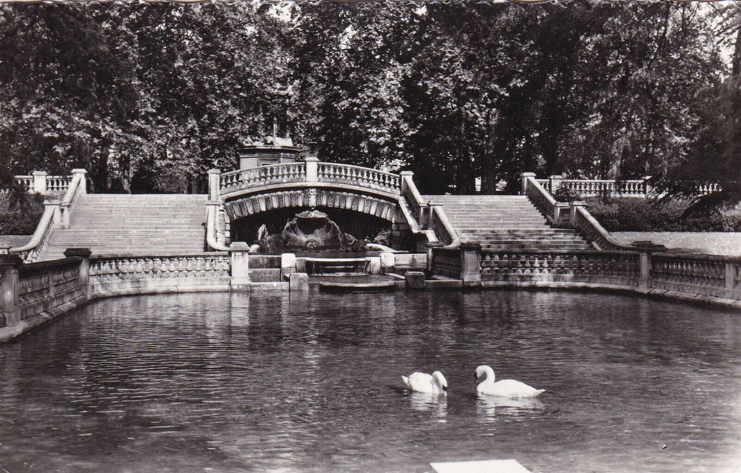 CARTE POSTALE CPSM NOIR ET BLANC / DIJON PARC DARCY 1963