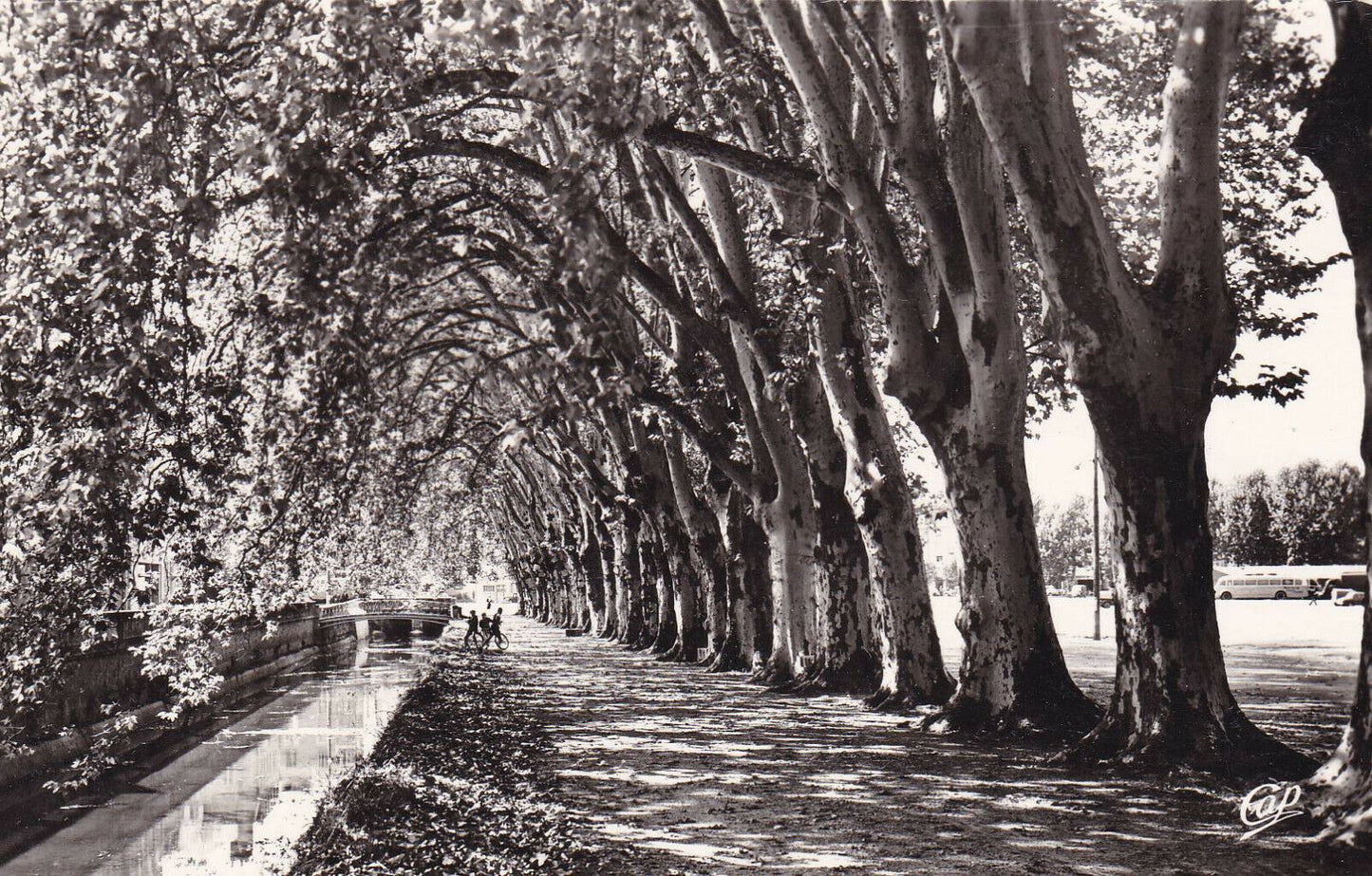 CPSM BLACK & WHITE POSTCARD / BRIVE LES ALLEES AND THE CANAL