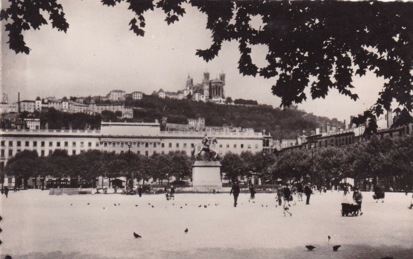 CPSM BLACK & WHITE POSTCARD / LYON PLACE BELLECOUR WEST SIDE