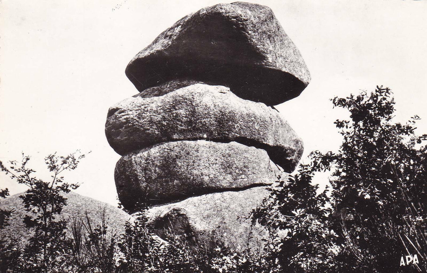 CARTE POSTALE CPSM NOIR & BLANC / LE SIDOBRE TARN LES TROIS FROMAGES