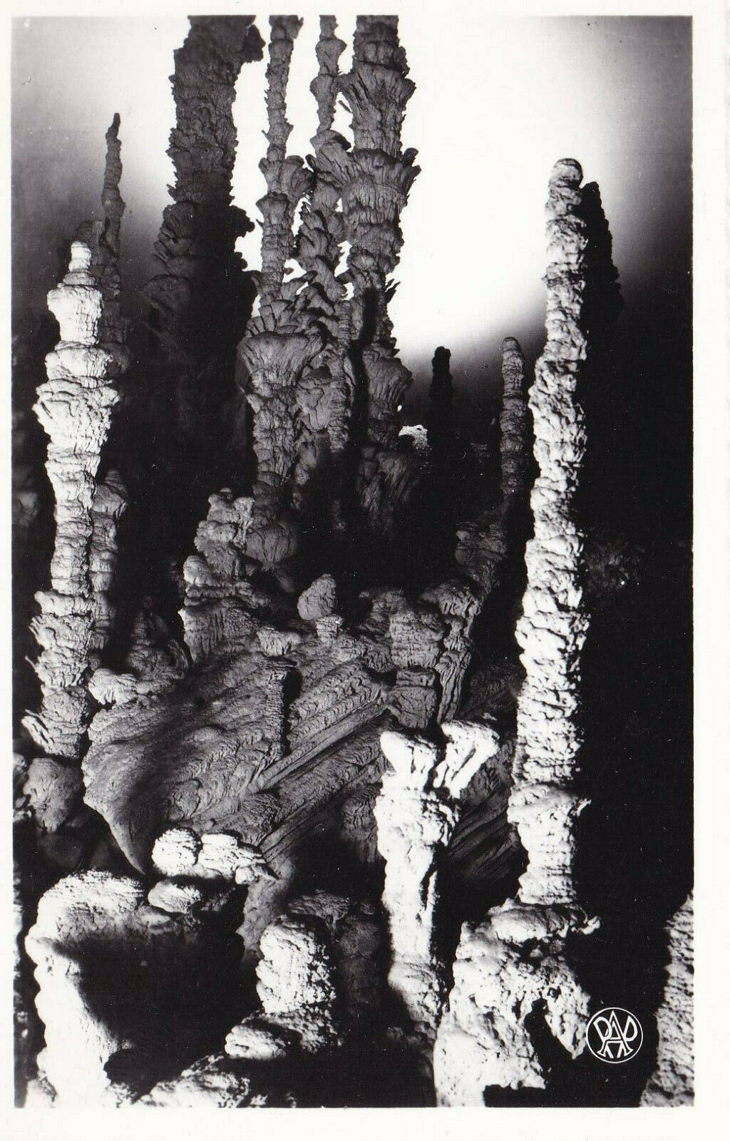 CPSM BLACK AND WHITE POSTCARD / AVEN D’ORGNAC STALAGMITIC GROUP DETAIL