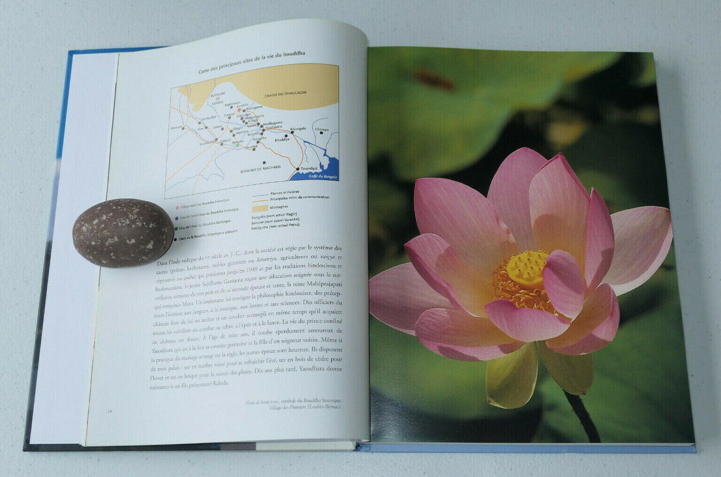 LE LOTUS ET LA ROUE / L'EMERGENCE DU BOUDHISME FRANCAIS / EDITIONS DU ROUERGUE
