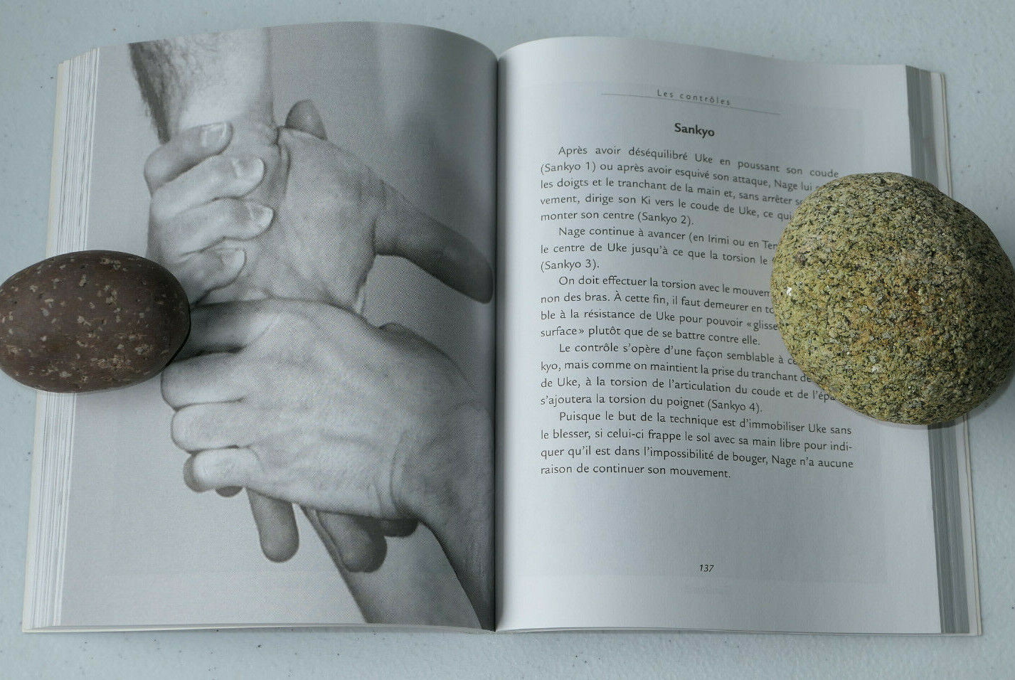 L'ESPRIT DE L'AIKIDO / MASSIMO N. DI VILLADORATA / LES EDITIONS DE L'HOMME 1998