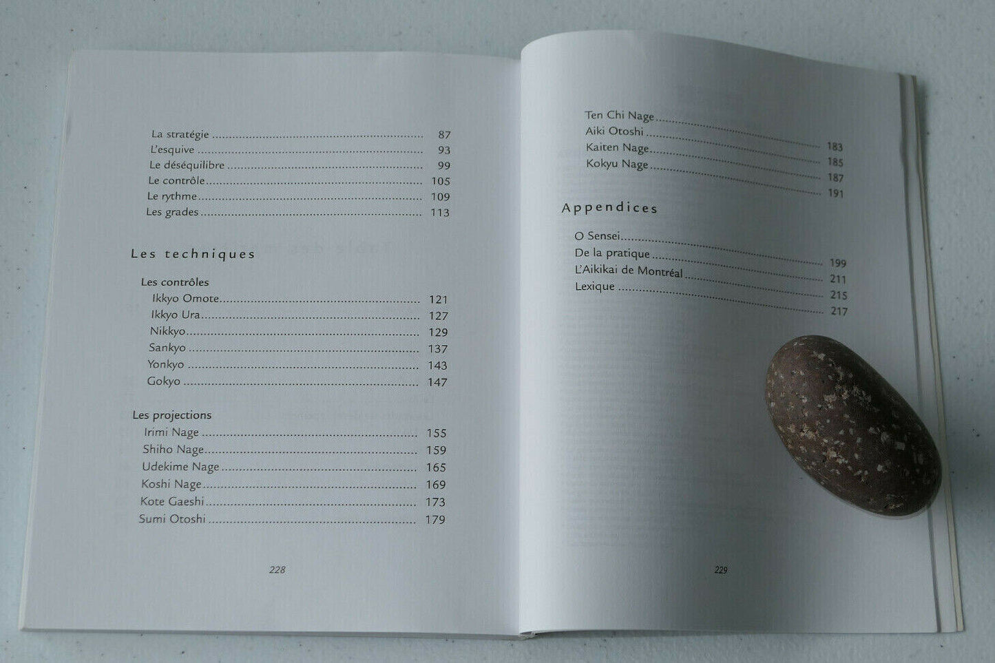 L'ESPRIT DE L'AIKIDO / MASSIMO N. DI VILLADORATA / LES EDITIONS DE L'HOMME 1998