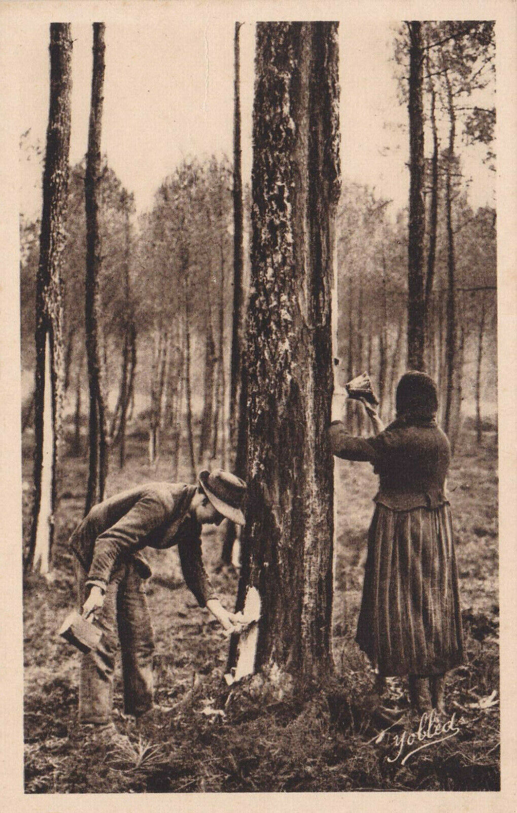 CARTE POSTALE ANCIENNE CPA / DANS LES LANDES DE GASCOGNE LANDAIS AU TRAVAIL